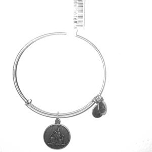 Alex and Ani Disney Bracelet
